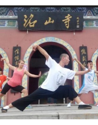 9 Months Taiji, Sanda, & Qigong Training in China